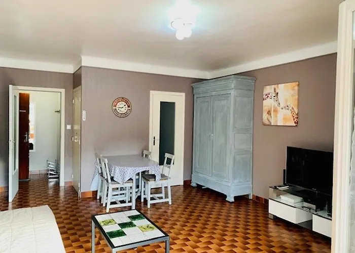 F2 Climatise Avec Wifi A Amelie-les-bains - Fr-1-703-46