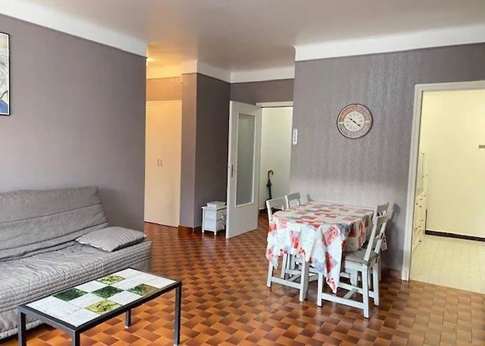 F2 Climatise Avec Wifi A Amelie-les-bains - Fr-1-703-46 Daire *